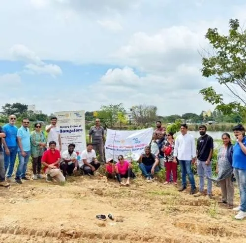 Tree plantation drive