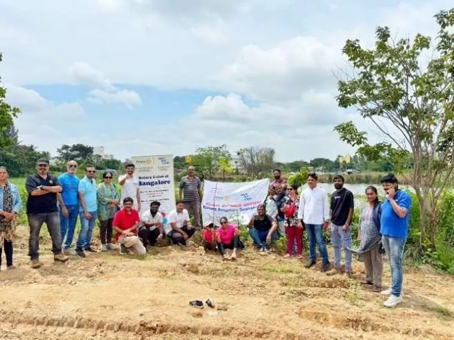 Tree plantation drive